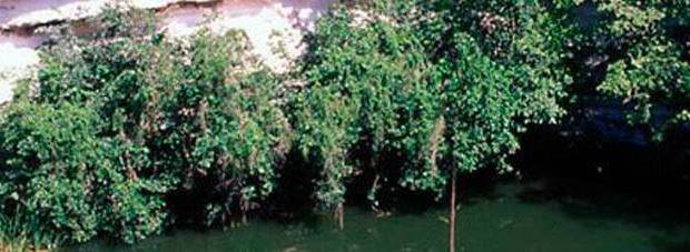 18176225_10208676309536475_1134963350_o