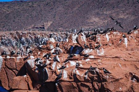 18281050_10208721290460970_286630587_n