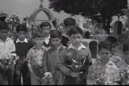 18336652_10208729282380763_635918429_n