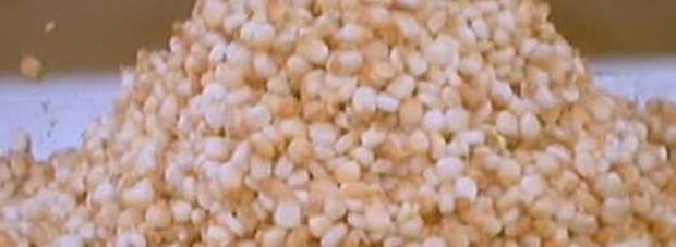 18361978_10208729284300811_1601477343_o