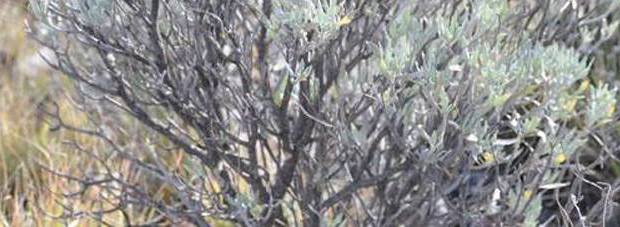 18405414_10208759388373394_17446923_o