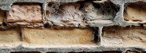 18836580_10208926547832276_1451384908_o