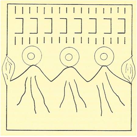 19046852_10208977240939572_623393968_n