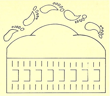 19074673_1469288383109483_1997818856_o