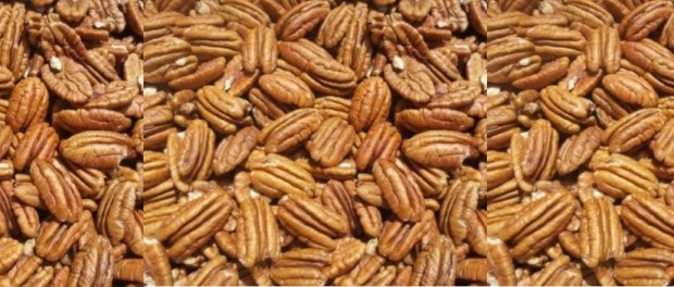 00 Modelo foto destacada