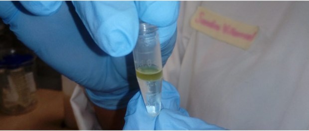 00 Modelo foto destacada