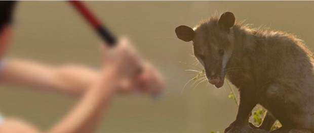 00 Modelo foto destacada