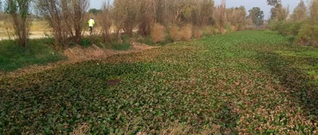 00 Modelo foto destacada