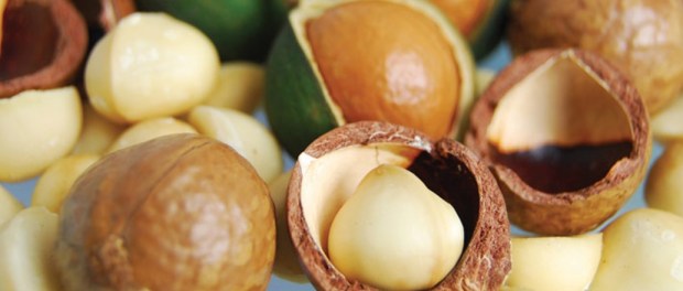 00 Modelo foto destacada