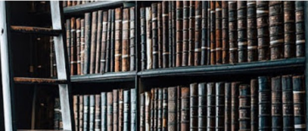 00 Modelo foto destacada