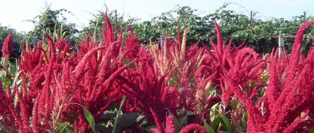 00 Modelo foto destacada