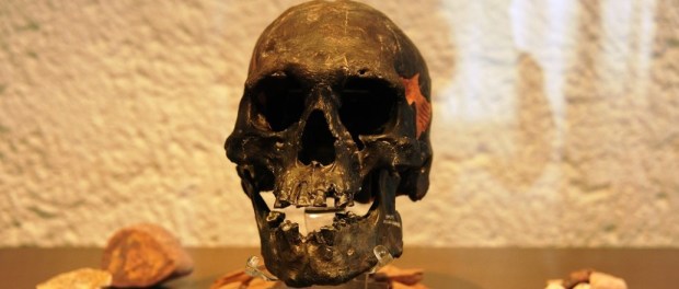 00 Modelo foto destacada