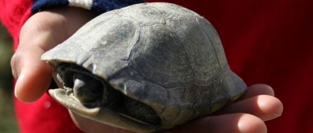 00 Modelo foto destacada