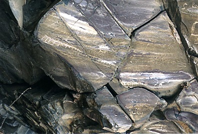 31 Pinturas Milpa Alta 5