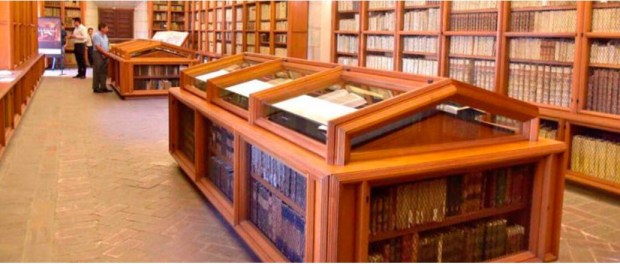 001 Modelo foto destacada