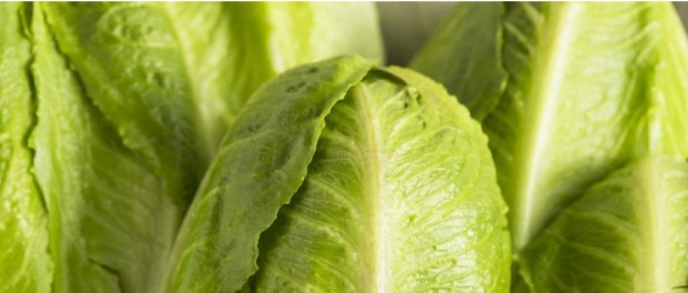 001 Modelo foto destacada