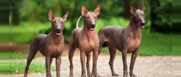 001 Modelo foto destacada