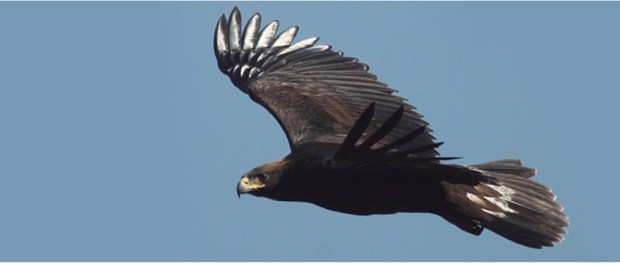 00 Modelo foto destacada