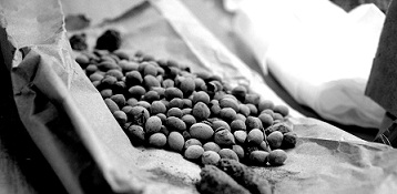 84c578f2021523496697