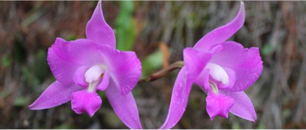 00 Modelo foto destacada