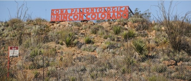 00000 Modelo foto destacada