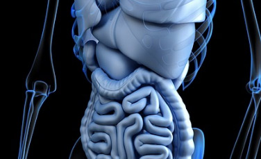 Centro de Visitantes de la Zona Arqueológica Cerro de Trincheras. Foto INAH copia