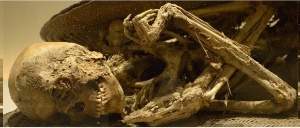 00000 modelo foto destacada