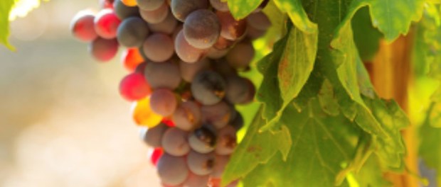 00 Modelo foto destacada