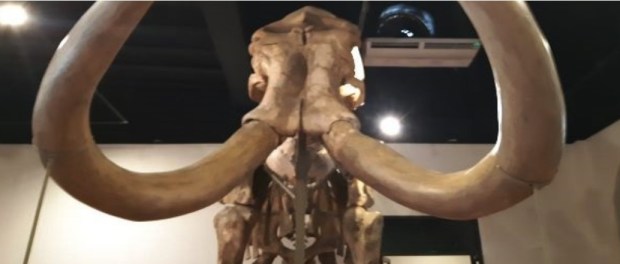 00 Modelo foto destacada