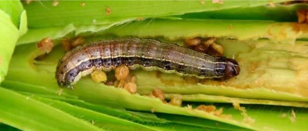 00 Modelo foto destacada A