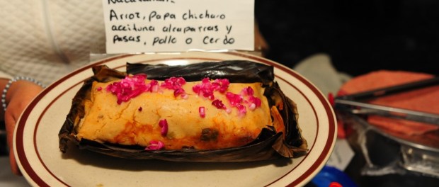 00000 Modelo foto destacada