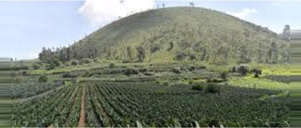 00000 Modelo foto destacada