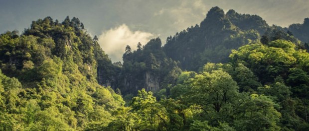 00000 Modelo foto destacada