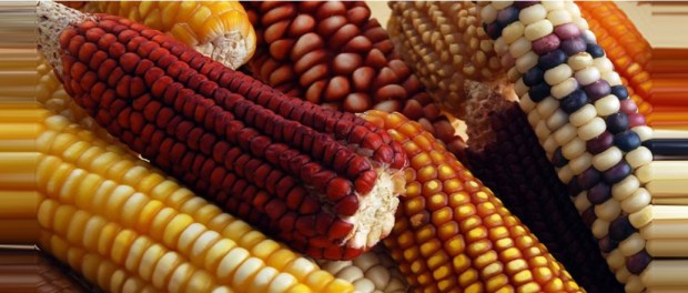 00 Modelo foto destacada A