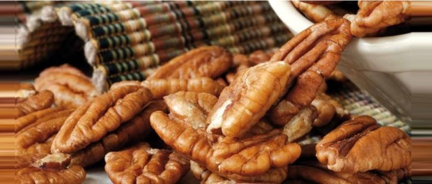 00 Modelo foto destacada A