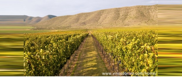 00 Modelo foto destacada A