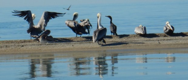 00000 Modelo foto destacada