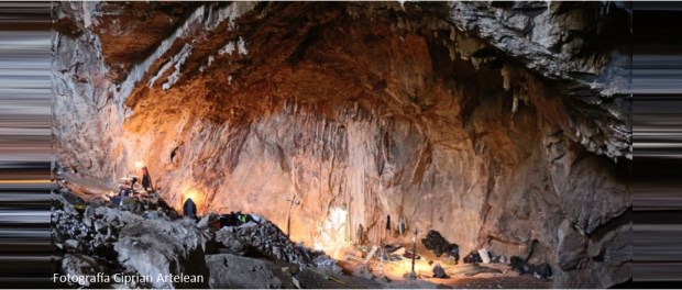 00 Modelo foto destacada A