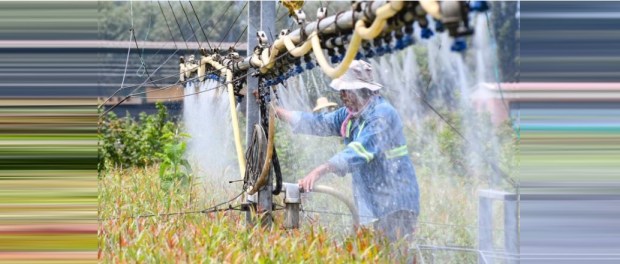 00 Modelo foto destacada A