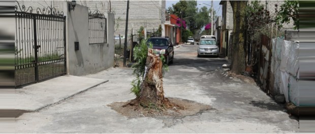 00 Modelo foto destacada A