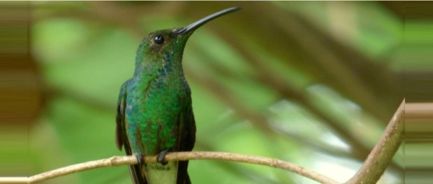 00 Modelo foto destacada A