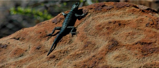 00 Modelo foto destacada A