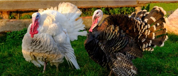 00 Modelo foto destacada A