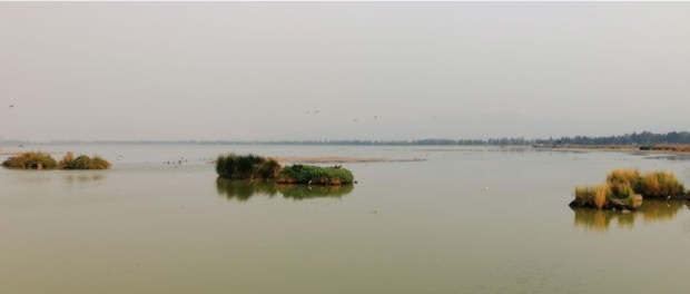 00 Modelo foto destacada A