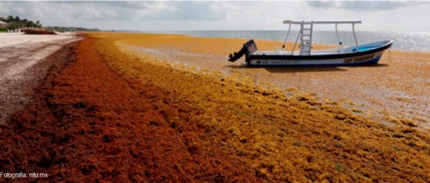 00 Modelo foto destacada A