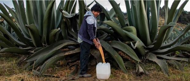 00 Modelo foto destacada A