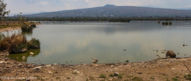 00 Modelo foto destacada A