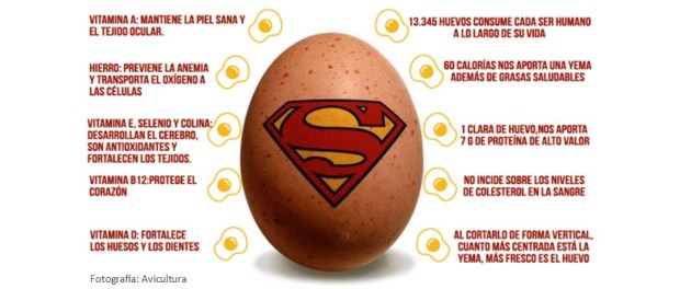 00 Modelo foto destacada A