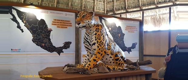 00 Modelo foto destacada A