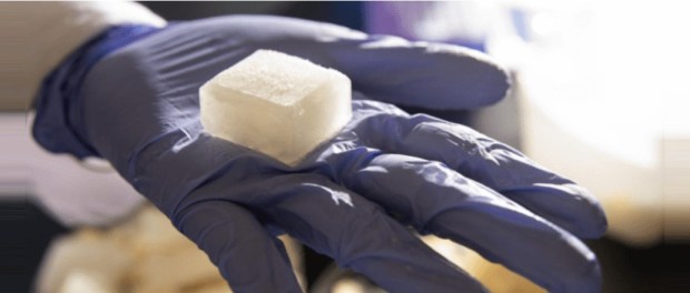 00 Modelo foto destacada A